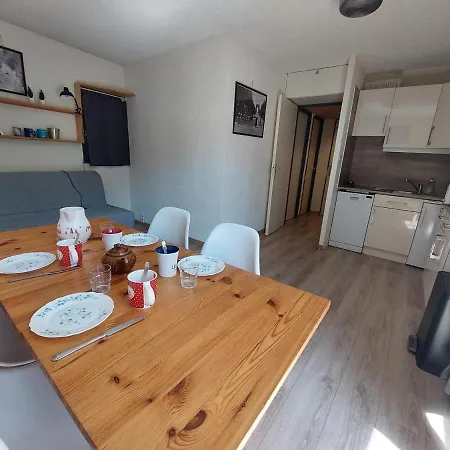 Moderne Au Pied Des Pistes, 4 Personnes, - Fr-1-516-210