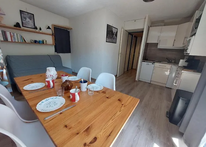 Moderne Au Pied Des Pistes, 4 Personnes, - Fr-1-516-210